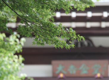 【お寺で葬儀】世田谷区の大吉寺で１日葬・家族葬費用｜ともいき社