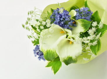 世田谷区民で費用を抑えた家族葬をお考えの方へ