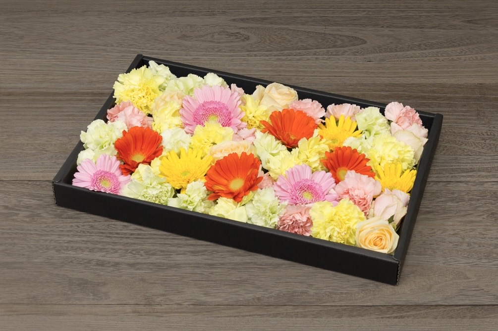 代々幡斎場火葬式、ともいき社