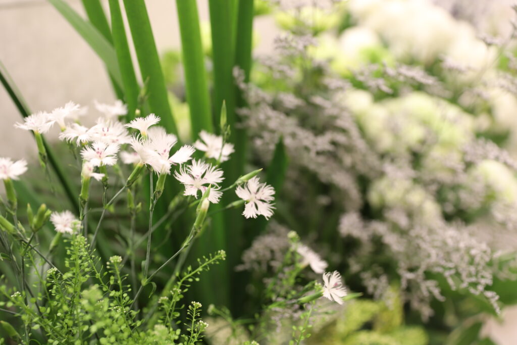 代々幡斎場で1日葬ともいき社