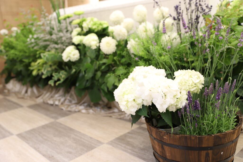 代々幡斎場で1日葬ともいき社