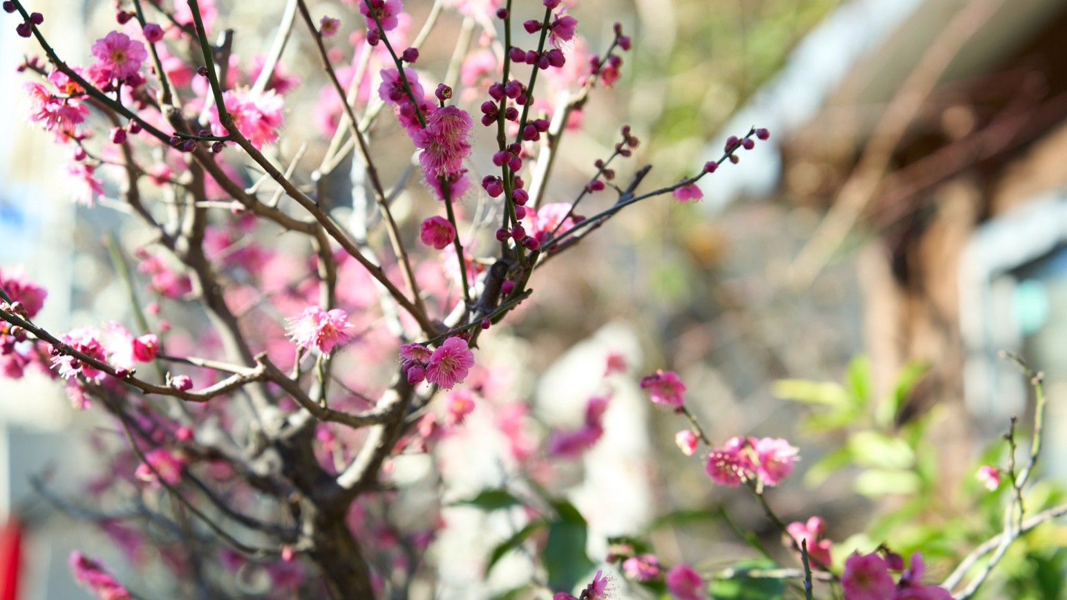 メインビジュアル