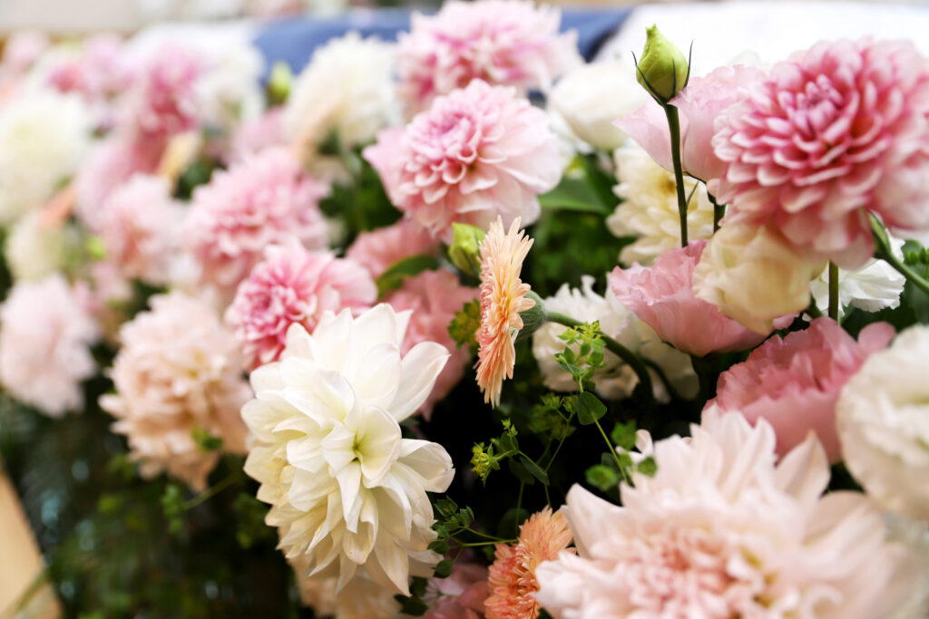 臨海斎場で家族葬ともいき社